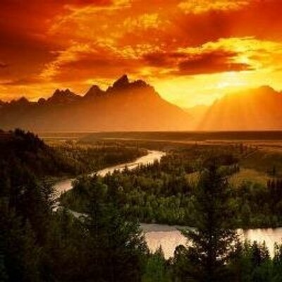 Profile Picture of Roy N. Sutton (@roysutton1950) on Twitter