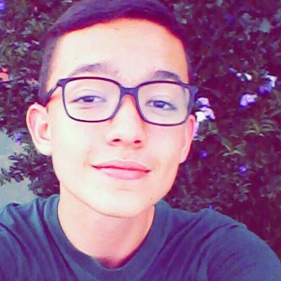 Profile Picture of Gabriel Pedroso (@Gabriellspl) on Twitter