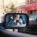 Profile Picture of Alex Ledermeier (@alexledermeier) on Pinterest