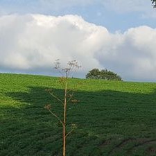 Profile Picture of Doug Temple (@doug_temple) on Twitter