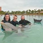 Profile Picture of Jesse Holbrook (@wjh0489) on Instagram