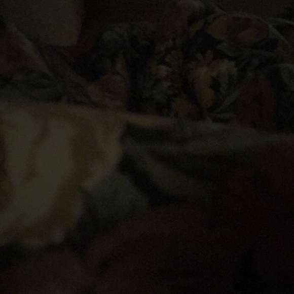 Profile Picture of Amanda Jenkins (@amanda096839) on Poshmark