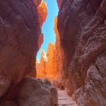 Profile Picture of Joseph Panarello (@jpanarello29) on Instagram