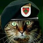 Profile Picture of Alberto Peraza (@alberto.peraza.71) on Instagram