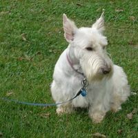 Profile Picture of Ronald Keeler (@ronald-keeler-7) on Quora