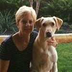 Profile Picture of Steve McCombs (@stevenamccombs) on Instagram