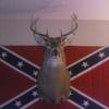 Profile Picture of coreycolberg (@coreycolberg) on Tiktok
