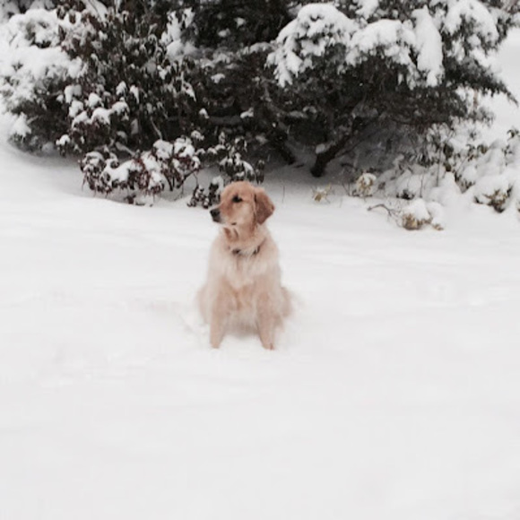 Profile Picture of Lila Putrino (@lilaputrino101) on Poshmark