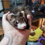 Profile Picture of Ray Cundiff (@lostsoulinky) on Instagram