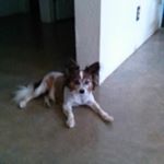 Profile Picture of Janet Barton (@janet.barton.549) on Instagram