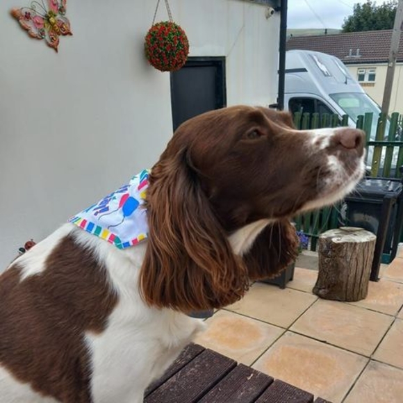 Profile Picture of Janice Thomas (@janicethomas965) on Poshmark