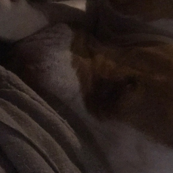 Profile Picture of Jeanine Mccloskey (@mccloskeyj9) on Poshmark