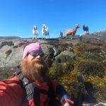 Profile Picture of Joachim Larssen (@shibbytraveler) on Instagram