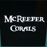 Profile Picture of Scott Mc-D (@mcreefer_corals) on Instagram