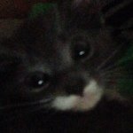 xXX_ben_warlick_XXx - Instagram Profile Picture of xXX_ben_warlick_XXx (@benwarlick) on Instagram