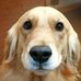 Profile Picture of Joseph Broxton (@joseph.broxton) on Facebook