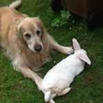 Profile Picture of Gayle Gordon (@gayle_gordon) on Instagram