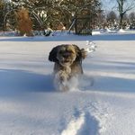 Profile Picture of Marlena Wójcik (@marlenawjcik) on Instagram