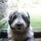 Profile Picture of Robert Bowmer (@robert.bowmer.3) on Facebook