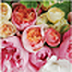 Profile Picture of Asma Al Sabah (@asma al sabah) on Flickr