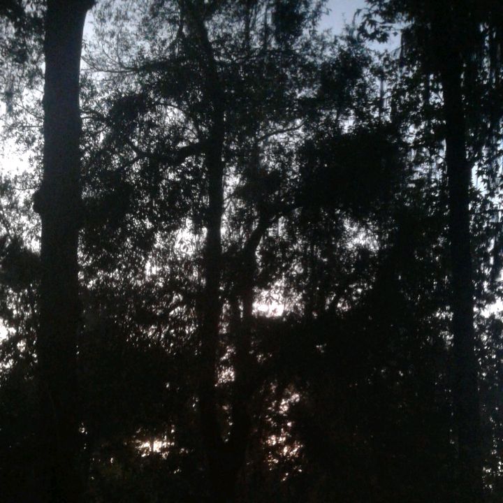 Profile Picture of payton (@paytonaguon) on Tiktok