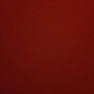 Profile Picture of Erin Tobin (@TodayWithTobin) on Twitter