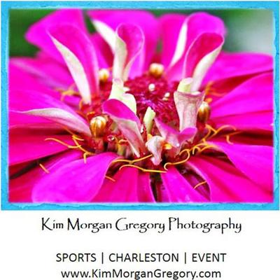Profile Picture of KimGregoryPhotos (@KMGregory843) on Twitter