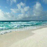 Profile Picture of Phyllis Arnold (@phyllisyarnold) on Instagram