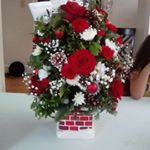 Profile Picture of Janet Krueger (@jsk325janet) on Instagram