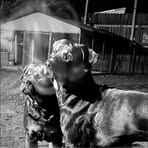 Profile Picture of Joshua Palacios (@Joshua-Palacios) on Facebook