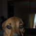 Profile Picture of Reggie Mullins (@reggie.mullins.18) on Facebook