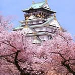 Profile Picture of Leaf Lin (@Leaf-Lin) on Facebook