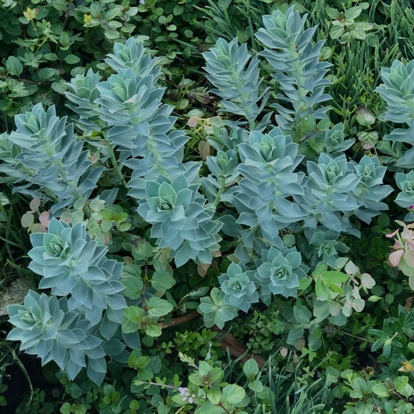 Profile Picture of Josie Ruschmeyer (@josieruschmeyer) on Poshmark