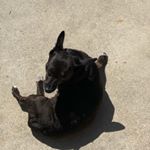 Profile Picture of Alex Avakian (@alex_avakian_14) on Instagram