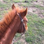 Profile Picture of John Kirkby (@jr_kirkby) on Instagram