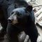 Profile Picture of John Swaney (@john.swaney.77) on Facebook