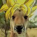 Profile Picture of Andrew Knudsen (@andrew.knudsen.3192) on Facebook
