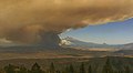 Profile Picture of Effects of climate changeon Wikipedia