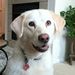 Profile Picture of Bryan Edmonds (@bedmonds2165) on Pinterest