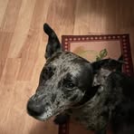 Profile Picture of Zachary Hoagland (@zachary.hoagland.752911) on Facebook