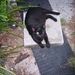 Profile Picture of Sherry Troupe (@tootsfirst) on Pinterest