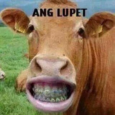 Profile Picture of Servando E. Alvarez (@servanz3) on Twitter