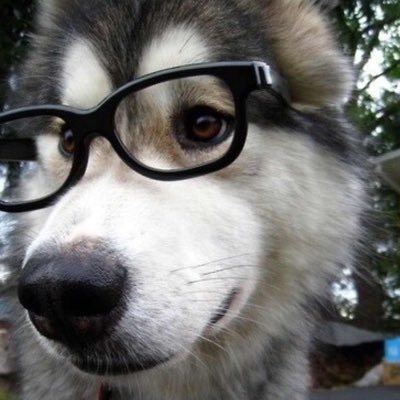 Profile Picture of Just4fun (@Aries_DunLiu) on Twitter