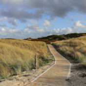 Bomin Kim - Youtube Profile Picture of Bomin Kim (@bominkim8360) on Youtube