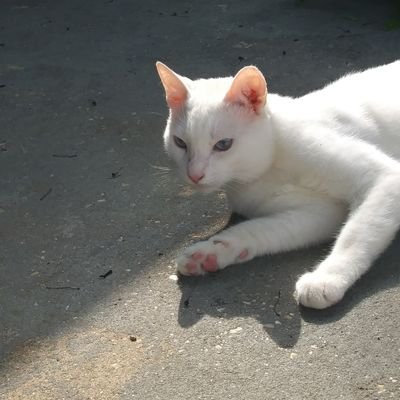 Dillon Perry - Twitter Profile Picture of Dillon Perry (@DillonPerry7) on Twitter