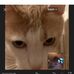 Profile Picture of Adam Doby (@adam.doby.77) on Facebook