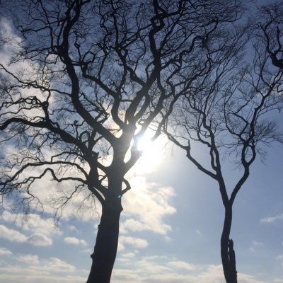 Profile Picture of Erik Duggan (@ErikDuggan) on Twitter