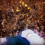 Profile Picture of Hafsa Patel (@hafsa._.patel) on Instagram