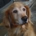 Profile Picture of Scott Waring (@scott.waring.56) on Facebook