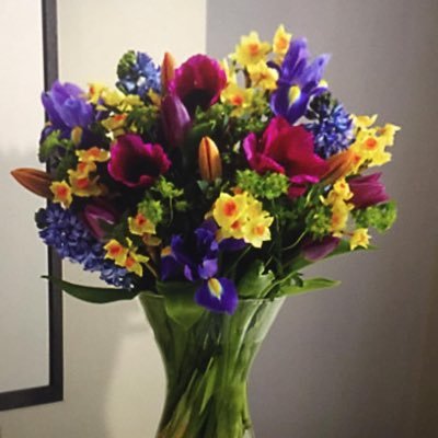 Profile Picture of Dixie Johnson (@dixiejohnson17) on Twitter